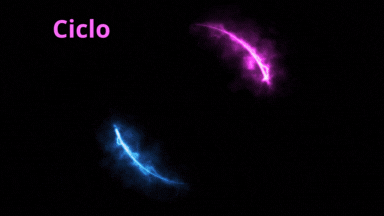 LICENCIA TIPO E CONVALIDACION CICLO 12