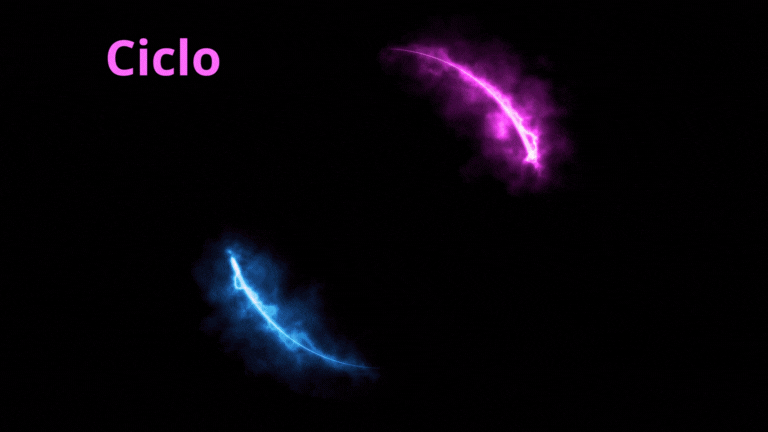 LICENCIA TIPO C CICLO 17